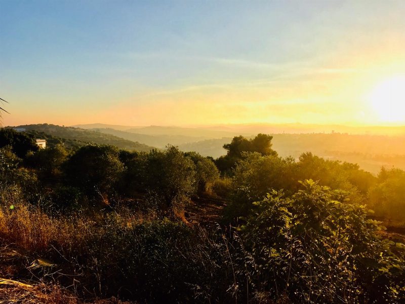 Aïn Ebel au coucher du soleil, vu depuis les collines voisines.